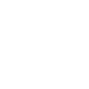 Lets Go Brandon