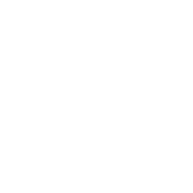 Volunteer